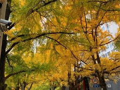 -四川大学(华西校区)