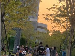-景田北六街公园宠物主题园