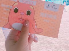 -海合安成都极地海洋公园