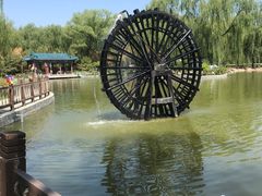 -南宫五洲植物乐园