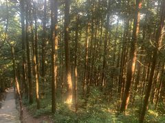 -罗田薄刀峰风景区