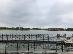 -上海都市菜园