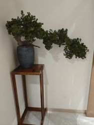 -奥本瑜伽·普拉提