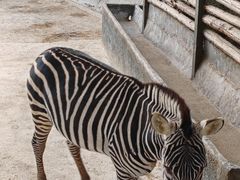 -泉州海丝野生动物世界