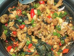 -蛙小侠(古镇大信新都汇店)