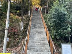 -云碧峰国家森林公园