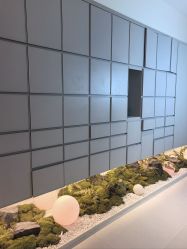 -苑苑vbeauty科技美容SPA