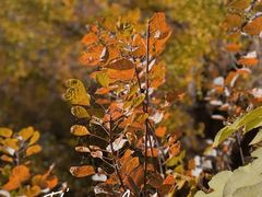 -北京西山国家森林公园