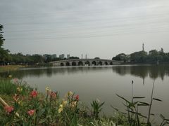 -顺峰山公园