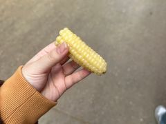 -大观篆新农贸市场