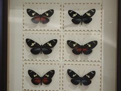 -567·密室逃脱(大良店)