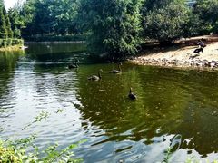 -长白岛森林公园