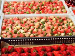 -南坛综合农贸市场