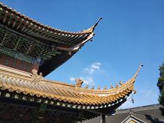 -溱湖八鲜菜馆