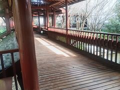 -南汇桃花村