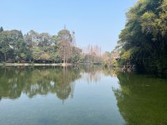 -棠湖公园