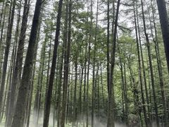 -洛阳白云山景区