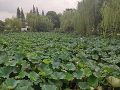 -芸海阁·农家私房菜(沙家浜景区出口店)