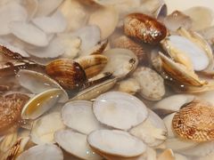 -小螺号海鲜·地道鲁菜(省体总店)