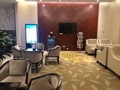 -郑州新郑国际机场T2航站楼-贵宾厅B区