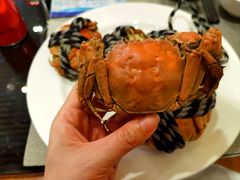 -富力希尔顿酒店·地阔自助餐厅