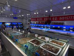 -小海丁