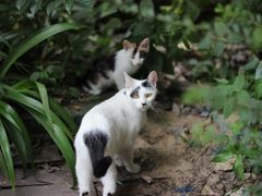 -武汉探路者国际青年旅舍