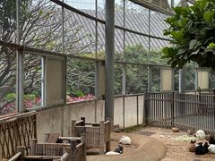 -厦门园林博览苑