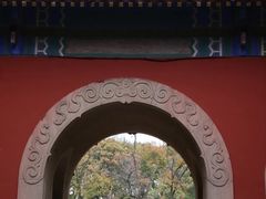 -灵谷景区