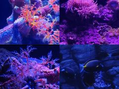 -成都浩海立方海洋公园