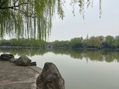 -洛阳市隋唐城遗址植物园