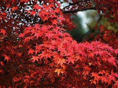 -西山漾湿地公园