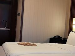 -成都明宇丽雅饭店