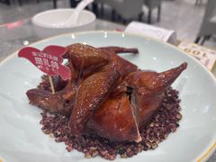 -朱记乳鸽王·非遗石岐乳鸽·全鸽宴(大兴旗舰店)