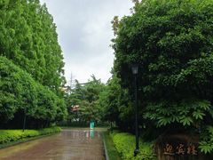 -棕榈岛海鲜自助餐厅(虹桥迎宾馆店)