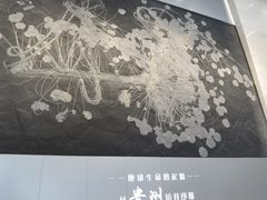 -贵州省地质博物馆