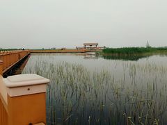 -白洋淀景区