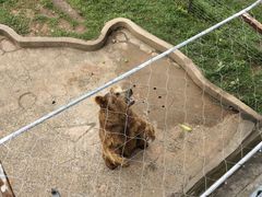 -无锡动物园·太湖欢乐园
