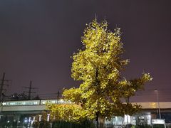 -宜家·瑞典风味餐厅(海达南街店)