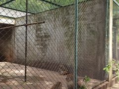 -合肥野生动物园