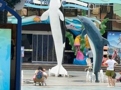 -海合安成都极地海洋公园