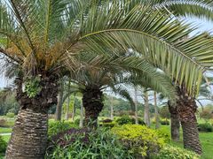 -东莞植物园