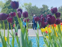 -北陵公园