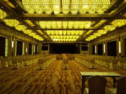 -天泰一站式婚宴·宴会厅