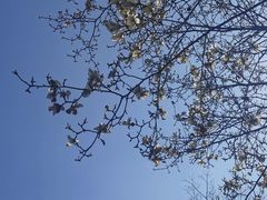 -小河无名面馆