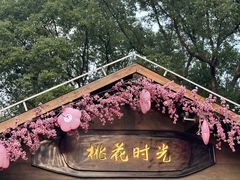 -金鸡湖桃花岛
