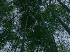 -陶祖圣境风景区