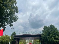 -黄海国家森林公园