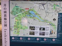 -井之头恩赐公园