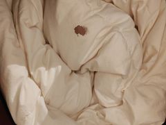 -苏州西交利物浦大学国际会议中心